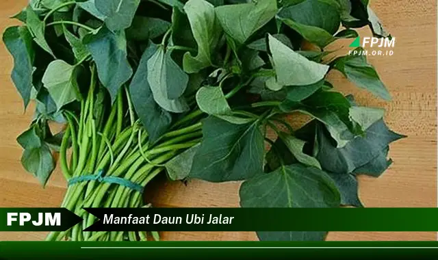 manfaat daun ubi jalar