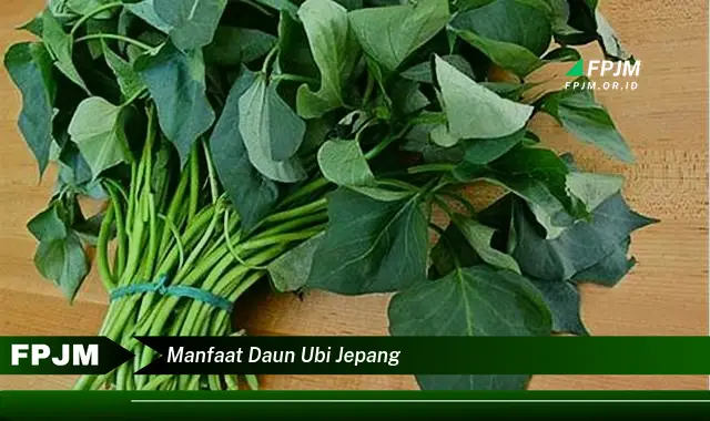 Temukan 6 Manfaat Daun Ubi Jepang yang Bikin Kamu Penasaran - Discover NEWS