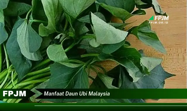 manfaat daun ubi malaysia