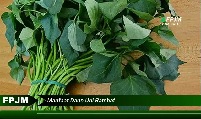 manfaat daun ubi rambat