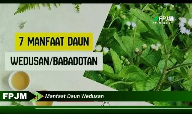 manfaat daun wedusan