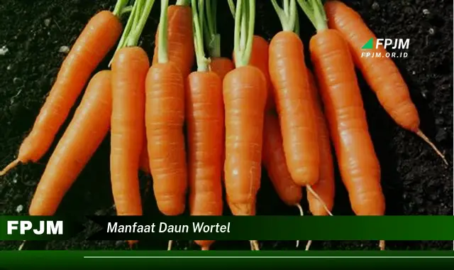 manfaat daun wortel