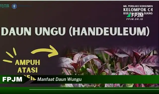 manfaat daun wungu