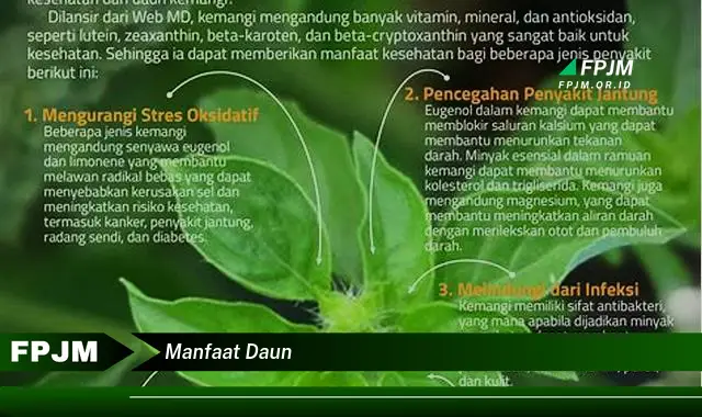 manfaat daun