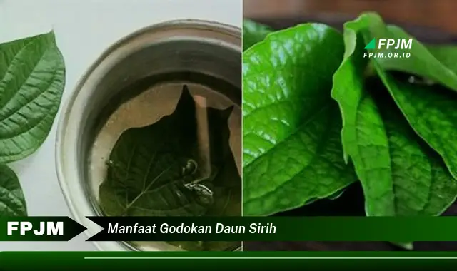 manfaat godokan daun sirih