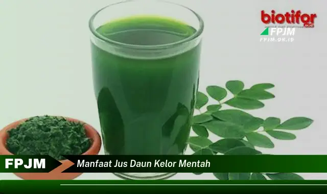 Ketahui 10 Manfaat Jus Daun Kelor Mentah untuk Kesehatan Tubuh Anda