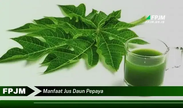 manfaat jus daun pepaya