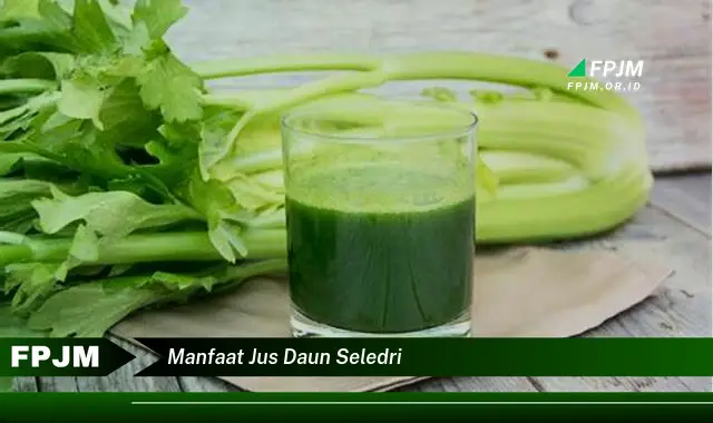 manfaat jus daun seledri