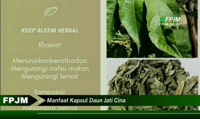 Ketahui 10 Manfaat Kapsul Daun Jati Cina untuk Menurunkan Berat Badan Secara Alami dan Efektif