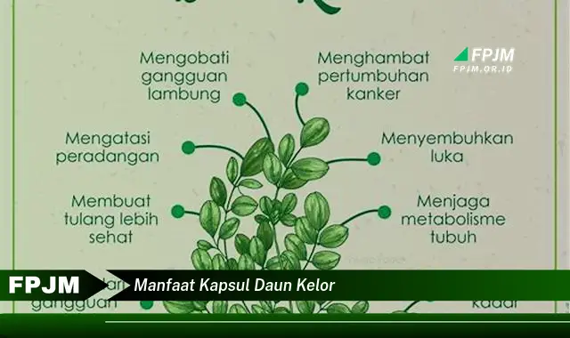 Ketahui 9 Manfaat Kapsul Daun Kelor untuk Kesehatan Anda