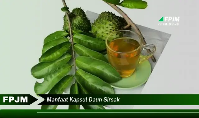 manfaat kapsul daun sirsak