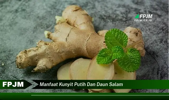 manfaat kunyit putih dan daun salam