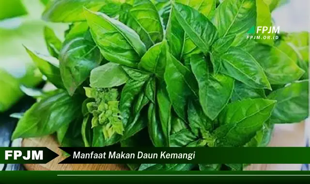 manfaat makan daun kemangi