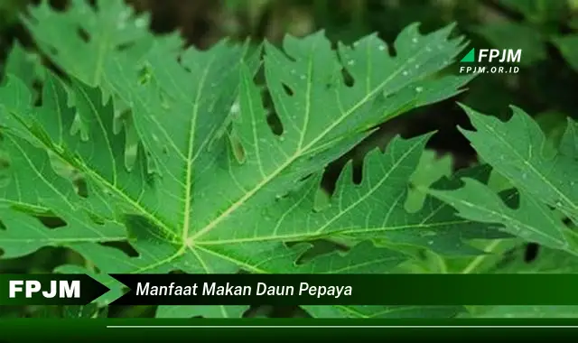 manfaat makan daun pepaya