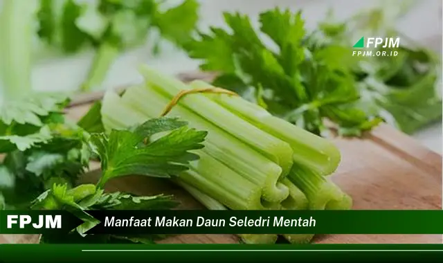 manfaat makan daun seledri mentah