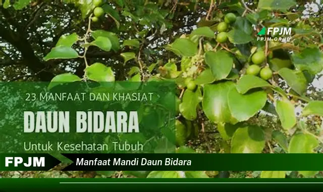 manfaat mandi daun bidara