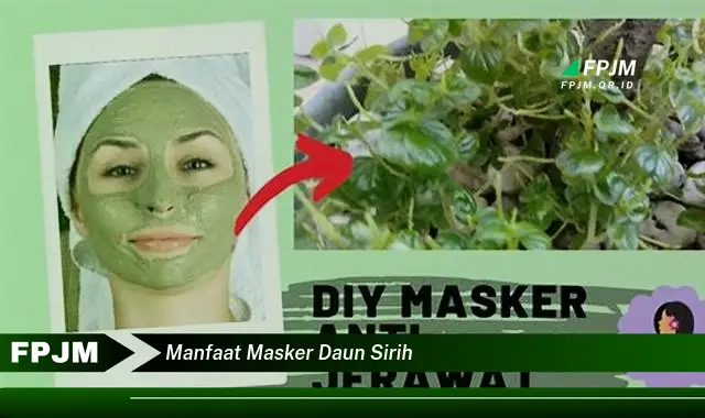 manfaat masker daun sirih