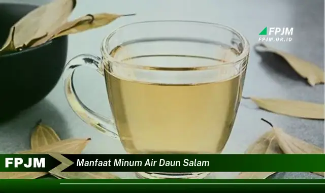 manfaat minum air daun salam