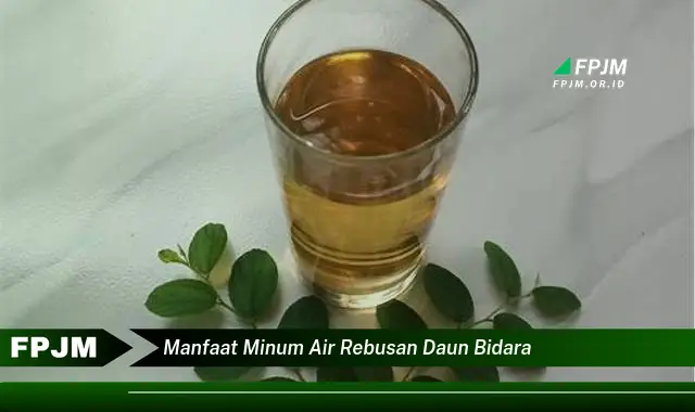 manfaat minum air rebusan daun bidara