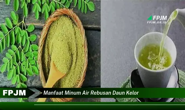 manfaat minum air rebusan daun kelor