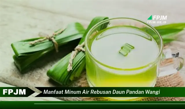 manfaat minum air rebusan daun pandan wangi