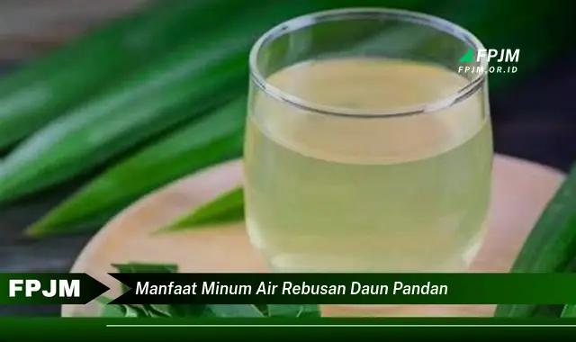 manfaat minum air rebusan daun pandan