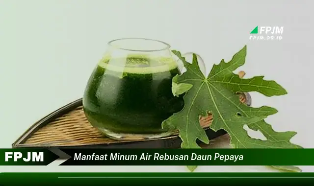 manfaat minum air rebusan daun pepaya