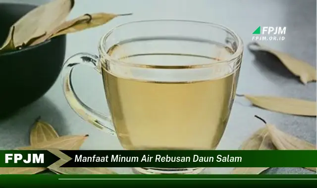 manfaat minum air rebusan daun salam