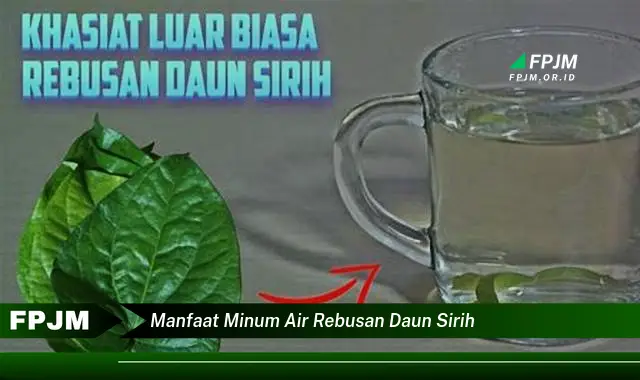 manfaat minum air rebusan daun sirih