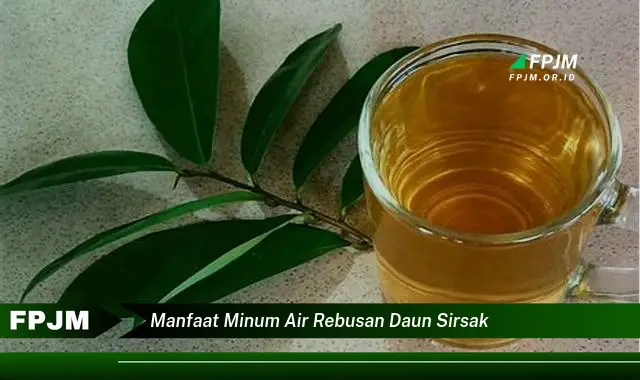 manfaat minum air rebusan daun sirsak