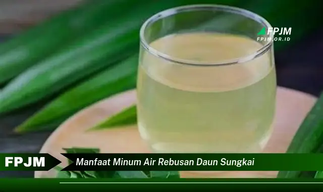 manfaat minum air rebusan daun sungkai