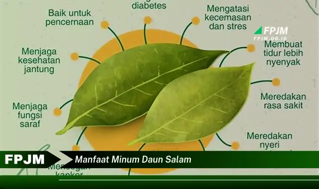 manfaat minum daun salam