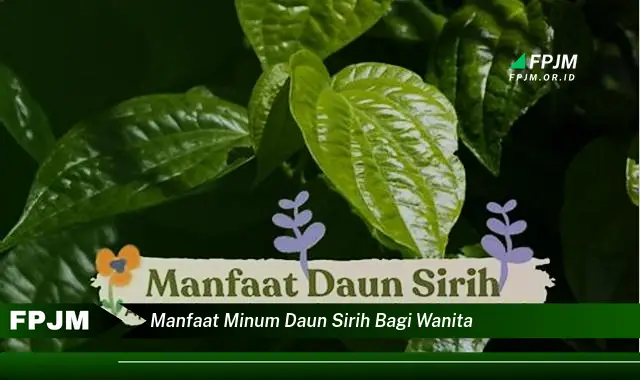 manfaat minum daun sirih bagi wanita