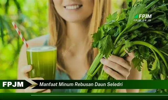 manfaat minum rebusan daun seledri