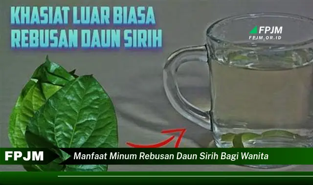 manfaat minum rebusan daun sirih bagi wanita