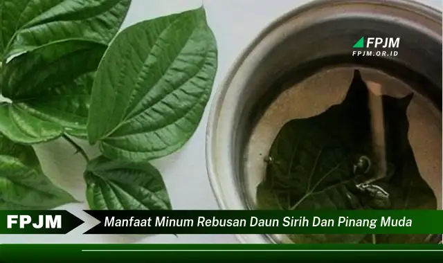 Ketahui 8 Manfaat Minum Rebusan Daun Sirih dan Pinang Muda untuk Kesehatan Anda