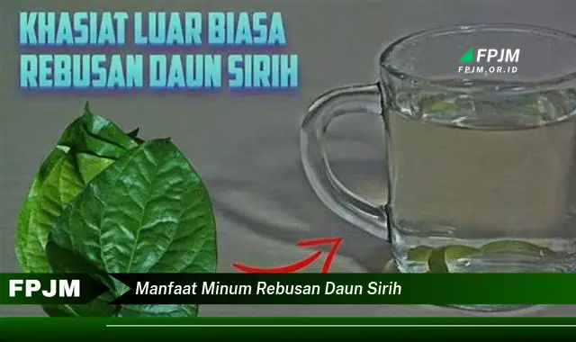 manfaat minum rebusan daun sirih