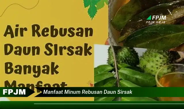 manfaat minum rebusan daun sirsak