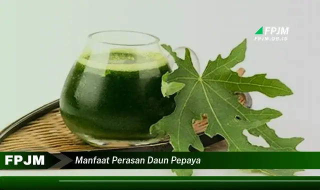 manfaat perasan daun pepaya