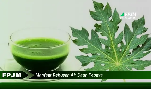 manfaat rebusan air daun pepaya