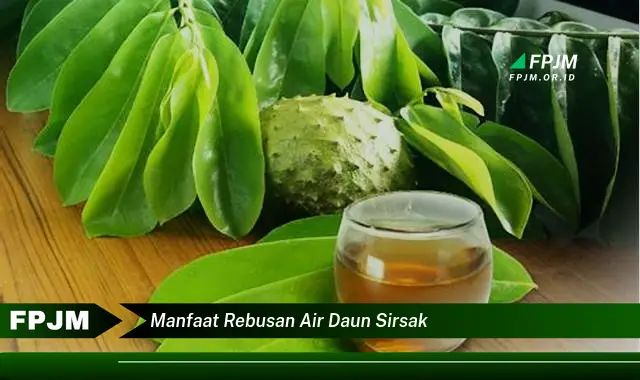 manfaat rebusan air daun sirsak