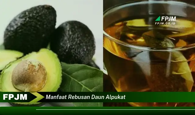 manfaat rebusan daun alpukat