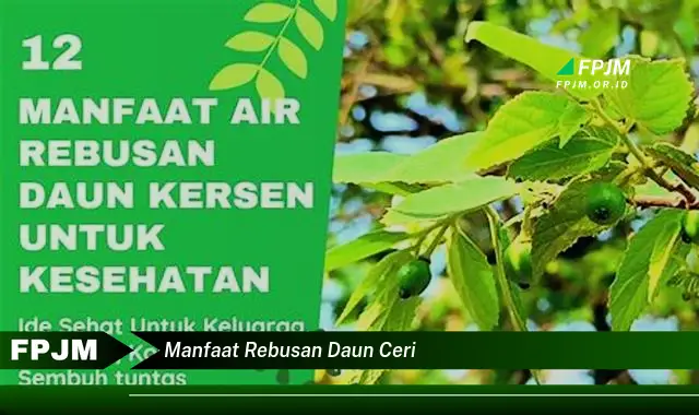 Ketahui 8 Manfaat Rebusan Daun Ceri untuk Kesehatan Anda