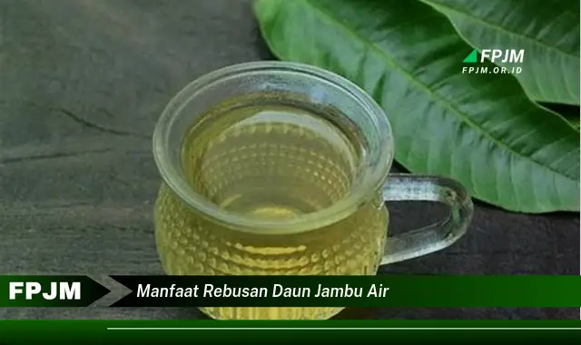 manfaat rebusan daun jambu air