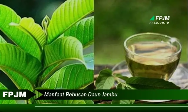 Ketahui 10 Manfaat Rebusan Daun Jambu Biji untuk Kesehatan Tubuh Anda