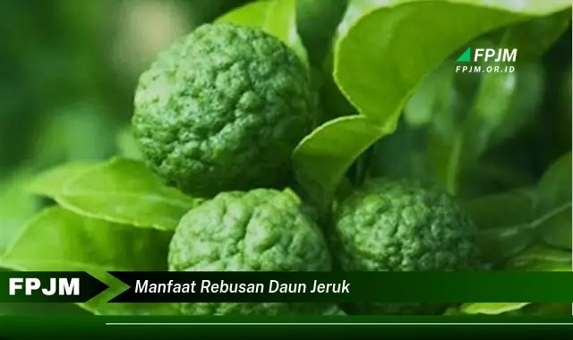 manfaat rebusan daun jeruk