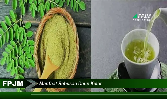 Ketahui 8 Manfaat Rebusan Daun Kelor untuk Kesehatan Tubuh Anda