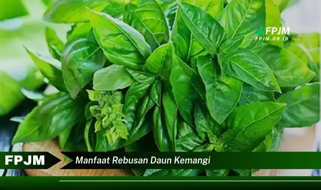 manfaat rebusan daun kemangi