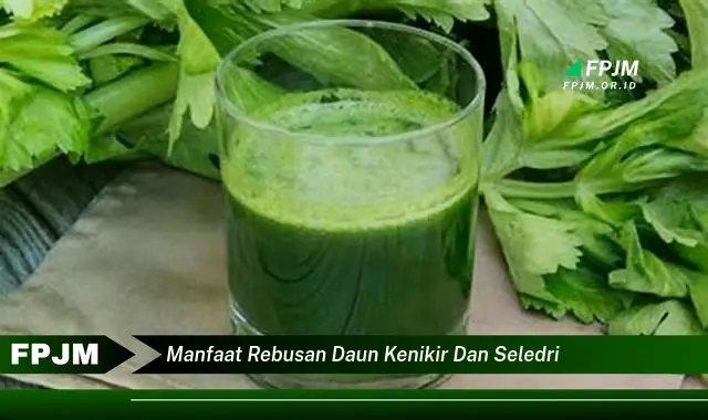 manfaat rebusan daun kenikir dan seledri