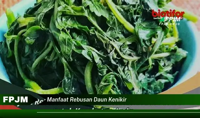 manfaat rebusan daun kenikir